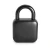 klodka_smart_bluetooth_tuya_odcisk_palca_tyl