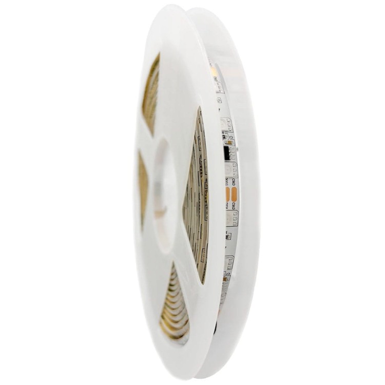 psmart-tasma-led-adresowalna-12v-rgbic-5050-ip65