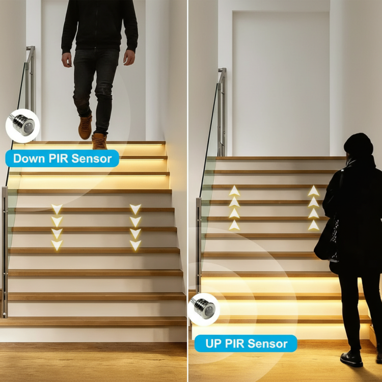 Whisk_0dbe55c5c0e020c91354b8f86adb110ddr.png
